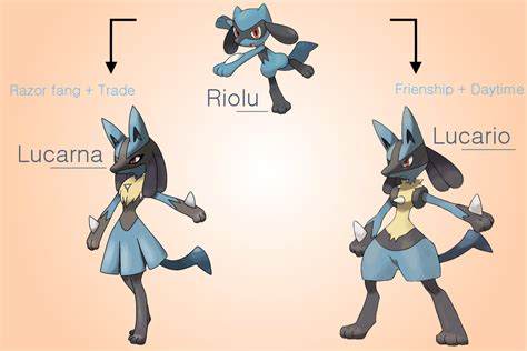 What lvl does riolu evolve. Things To Know About What lvl does riolu evolve. 